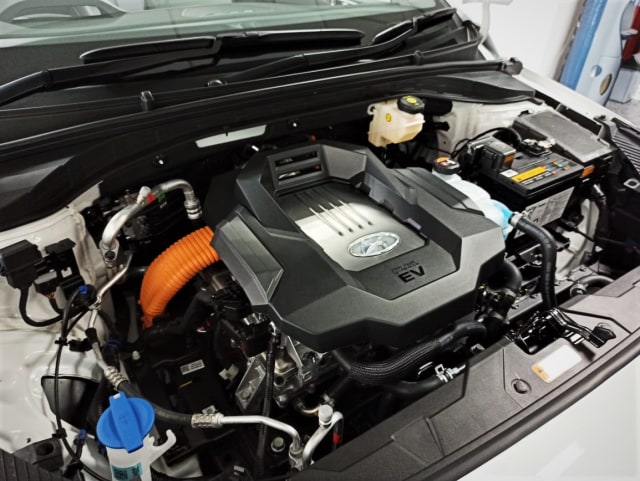 Bedah Spesifikasi Mobil Listrik Hyundai Ioniq untuk Pasar Indonesia (283795)