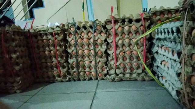 Telur yang dikumpulkan warga untuk dikembalikan ke Lions Club. Foto: Fachrul Irwinsyah/kumparan