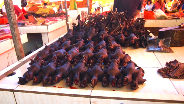 Kelelawar di pasar tradisional Sulawesi Utara (foto: dokumen kumparan)