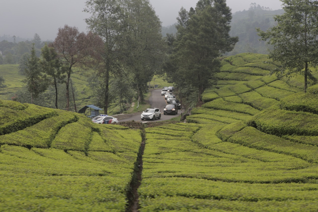 Pengertian Touring dan Hal-Hal yang Perlu Dipersiapkan (648658)