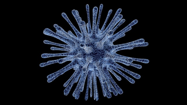 Ilustrasi virus. Foto: pixabay