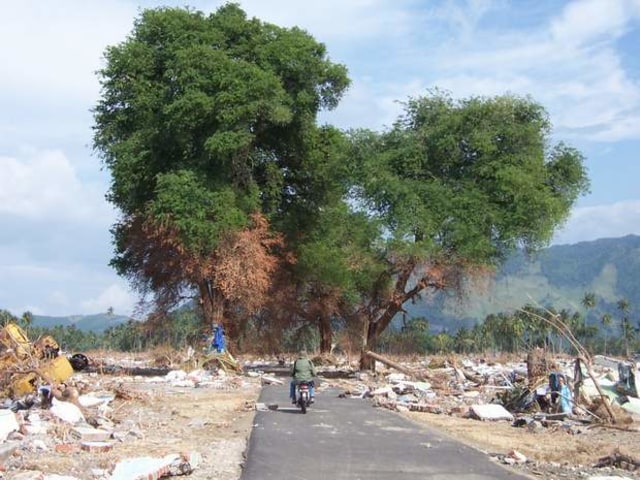 Reruntuhan di kawasan Lhoknga, Aceh Besar, usai tsunami, 4 Januari 2005. Dok. acehkita/Dhandy DL