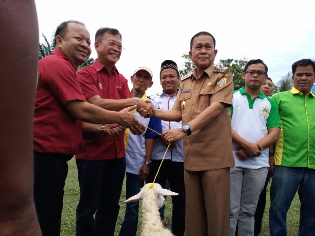 CSR Asian Agri serahkan 400 ekor kambing. Foto: Istimewa