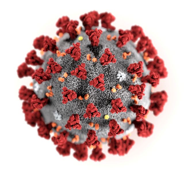 Ilustrasi virus corona China buatan Pusat Pengendalian dan Pencegahan Penyakit AS, CDC. Foto: Alissa Eckert, MS; Dan Higgins, MAM/CDC/via REUTERS