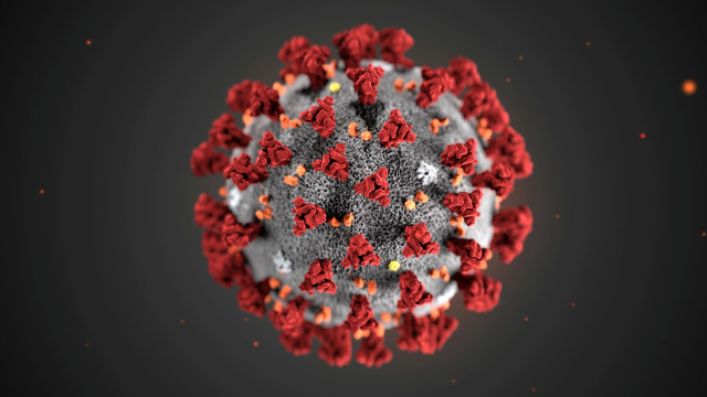 Ilustrasi virus corona China buatan Pusat Pengendalian dan Pencegahan Penyakit AS, CDC. Foto: Alissa Eckert, MS; Dan Higgins, MAM/CDC/via REUTERS