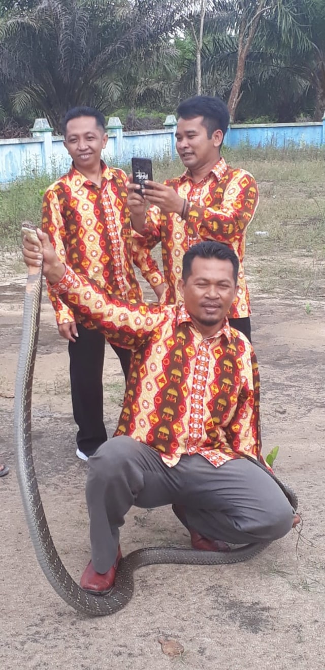 Sekdes Rangda Suyono Agung Prasetyo beserta staf berpose dengan ular king kobra. (Foto: IST)