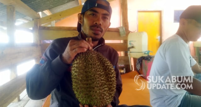 buah langka mahal Durian Gandaria Cikakak Sukabumi Buah Langka Harganya buah langka mahal Durian Gandaria Cikakak Sukabumi Buah Langka Harganya