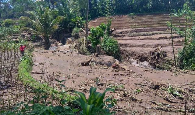 Banjir Lumpur di Blitar: Ribuan Warga Terdampak, 6 Hektare Sawah Rusak