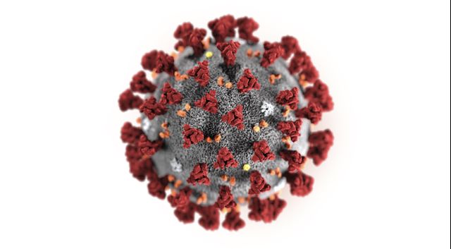 Ilustrasi virus corona. Foto: AP