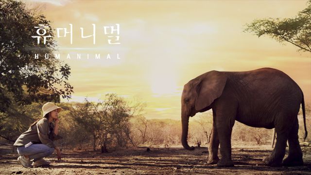 Cerita Park Shin Hye dan Kim Woo Bin Usai Mengikuti Acara 'Humanimal' (838102)