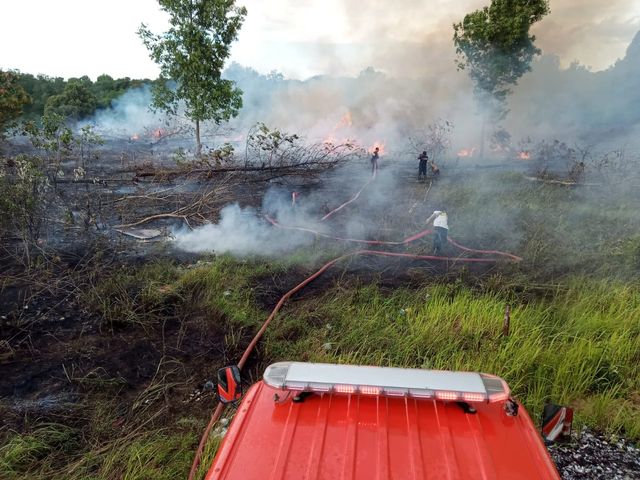 Tim pemadam kebakaran berusaha memadamkan api yang melahap lahan kosong.