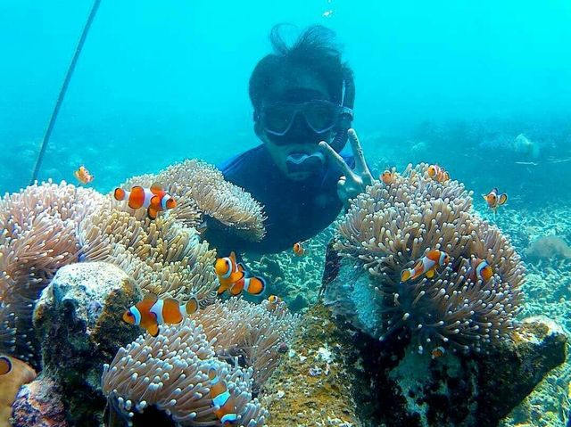 Spot foto underwater bersama ikan nemo menjadi salah satu spot favorit pengunjung Pulau Pahawang Lampung, Senin (20/1) | Foto : Sidik Aryono/ Lampung Geh