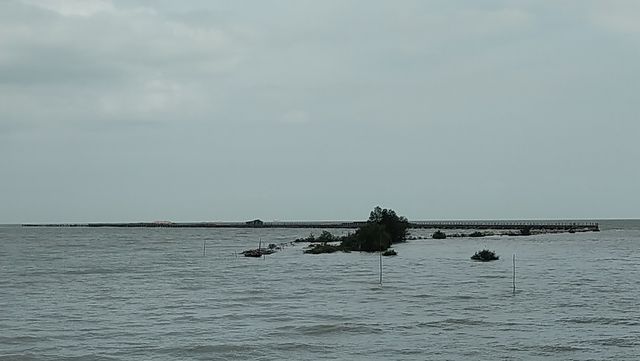 Soal Pelabuhan Kargo Terbesar di Kepri, Menhub: Target 2021 Selesai (137321)
