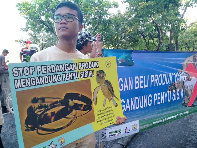Lestarikan Penyu, Profauna Kampanye 'Keren Tanpa Sisik'