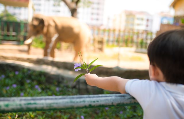 Si Kecil Takut dengan Hewan seperti Anak Nycta Gina? Begini Cara Mengatasinya (39307)