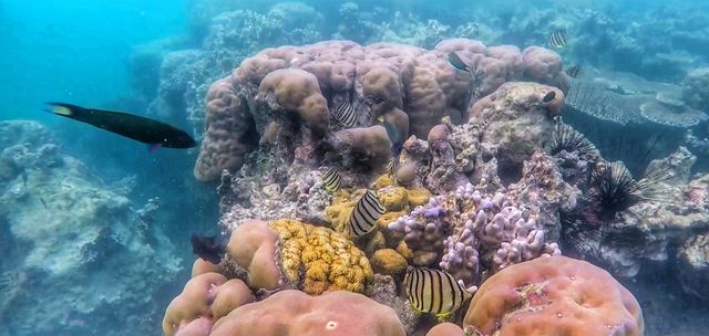 9 Alasan Kenapa Kamu Harus Mengunjungi Taman Nasional (118950)