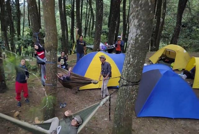 9 Alasan Kenapa Kamu Harus Mengunjungi Taman Nasional (118956)