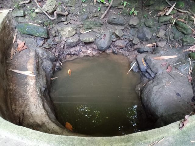 Salah satu sumber air yang kotor dan berbau yang dikonsumsi oleh warga Desa Odaute, Kabupaten Nagekeo. Foto: Arkadius Togo. 