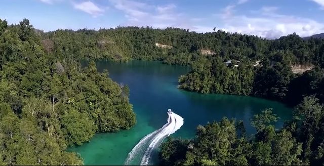 Taman Nasional Teluk Cendrawasih. Foto: Tangkapan layar channel YouTube Balai Besar TN Teluk Cendrawasih