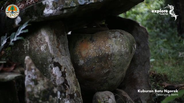 Kenali 6 Taman Nasional Terluas dan Terbesar di Indonesia (110577)