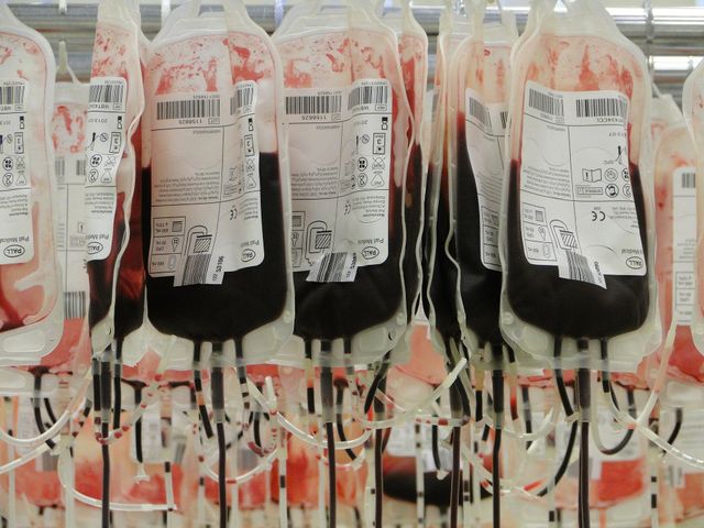 Ilustrasi donor darah. Foto : Pixabay