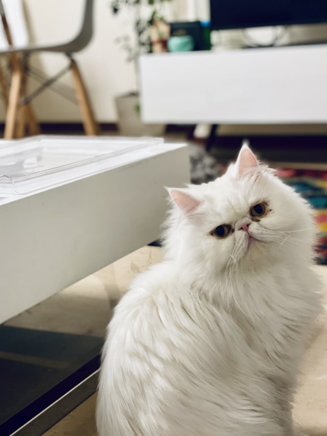 Untitled Image