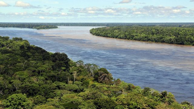 Foto: Hutan hujan tropis di Amazon