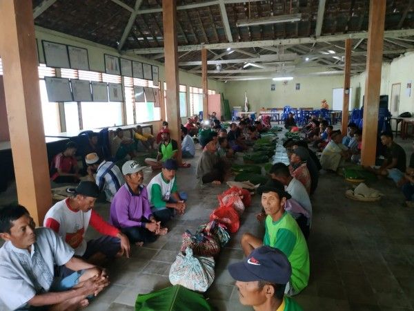 Petani Migas Kedung Keris Gelar Tradisi Pleretan Sambut Kehamilan Padi