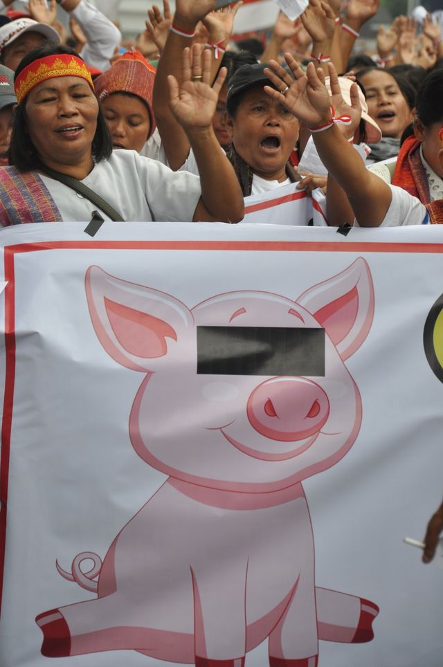 Massa dari gerakan #Save Babi membawa spanduk bergambar babi saat unjuk rasa tolak pemusnahan ternak babi, di Lapangan Merdeka Medan, Sumatera Utara. Foto: ANTARA FOTO/Septianda Perdana