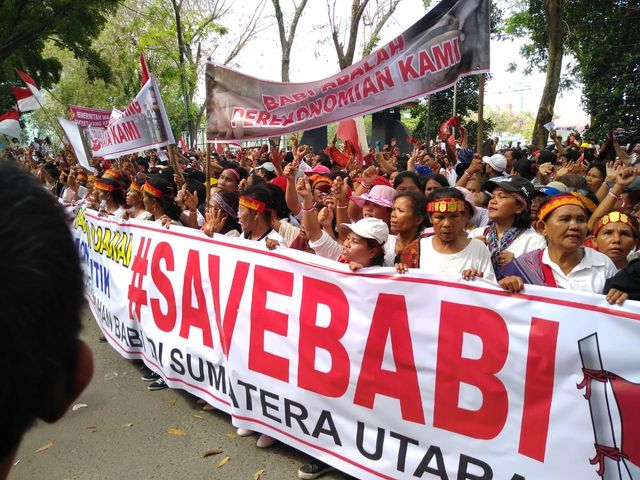Unjuk rasa menolak pemusnahan babi di DPRD Sumut. Foto : SumutNews