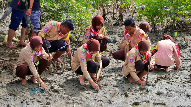 Bersama siswa, BIOTA melakukan penanaman mangrove di CATP yang sekitar 80 persen areanya beralih fungsi menjadi tambak. Foto: Dok istimewa