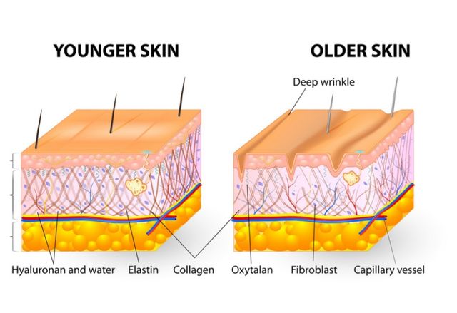 Oral Kolagen Suplemen Untuk Mencegah Kulit Keriput Kumparan Com