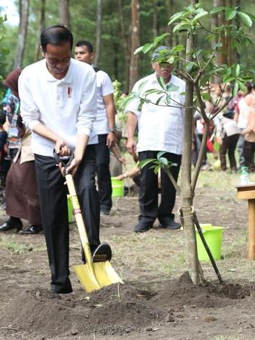 Presiden Jokowi saat menanam pohon di Taman Nasional Gunung Merapi (TNGM). Foto: Dok. BNPB