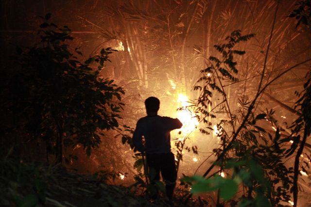Salah satu warga saat memadamkan api yang membakar hutan di Tabona, Ternate, Maluku Utara. Foto: Gustam Jambu/cermat