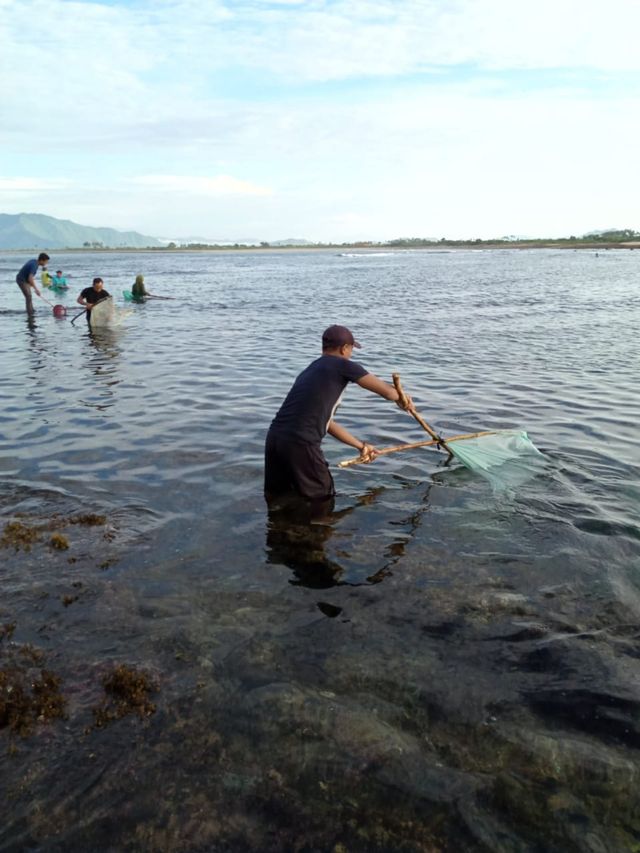 Antusiasme warga Dompu menangkap cacing warna-warni di Pantai Lakey. Foto: Syahril
