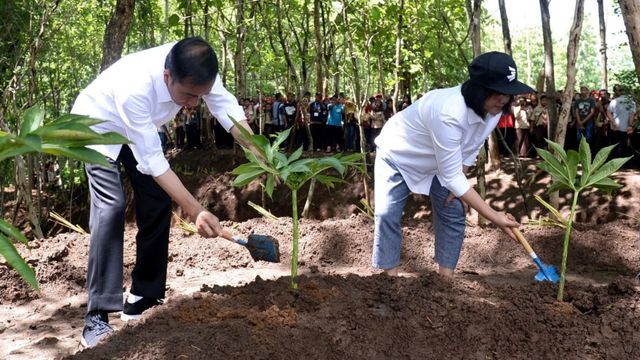 Presiden Joko Widodo (kiri) bersama Ibu Negara Iriana Jokowi menanam pohon di Jatisrono, Wonogiri, Jawa Tengah, Sabtu (15/2).  Foto: Dok. BPMI Setpres-Kris