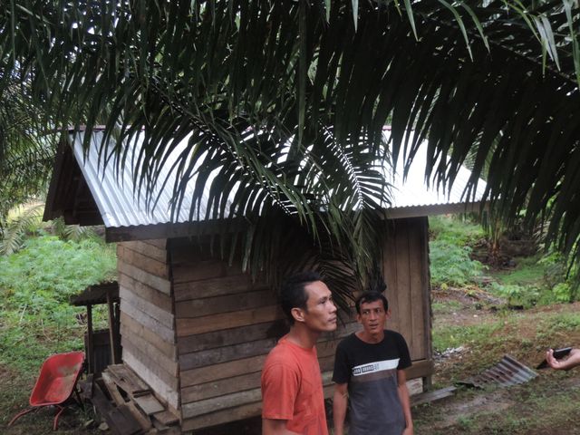 Keluarga dan pihak Desa Peniti menunjukan tempat tinggal yang dibangun untuk Ayi Lolong, Sabtu (15/2). Foto: Dina Mariana/Hi!Pontianak