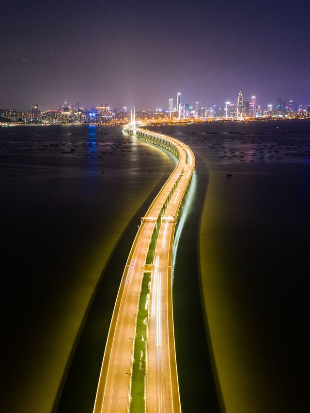 Foto udara jembatan Teluk Shenzhen di Hong Kong. Foto: AFP/Anthony WALLACE