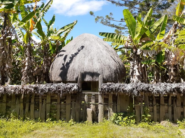 Honai, rumah adat Wamena yang masih banyak dipertahankan oleh masyarakat setempat. (Dok foto: Hari Suroto) 