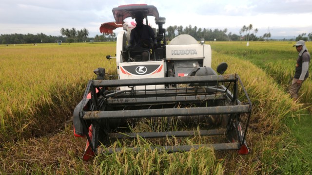 Petani memanen padi menggunakan mesin potong padi modern di areal persawahan Indrapuri, Aceh Besar, Aceh. Foto: ANTARA FOTO/Irwansyah Putra