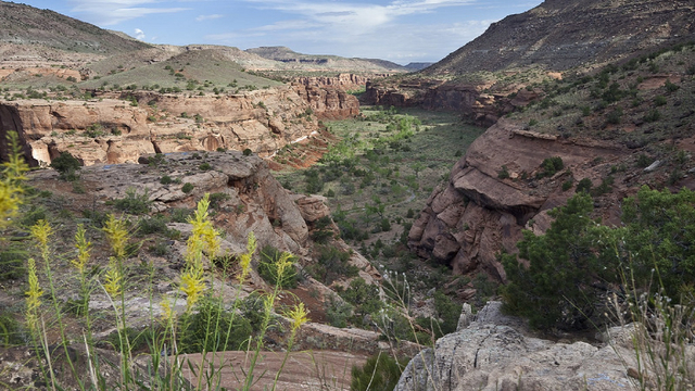 Foto: Unaweep Canyon Memiliki Keunikkan yang Disebut Ngarai Dua Mulut