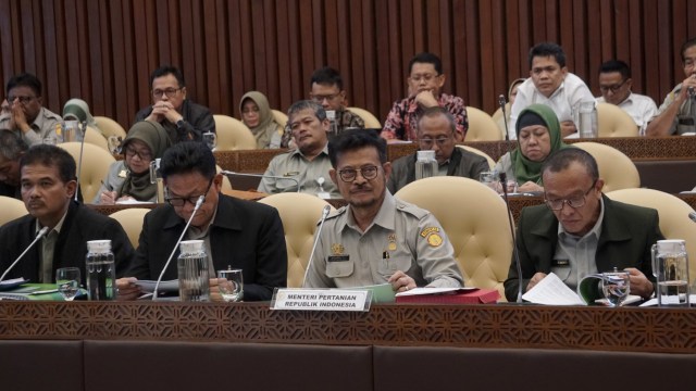 Populer: Subur Bisnis Peti Mati di Tengah Corona, Alasan Prabowo Tanam Singkong (70726)