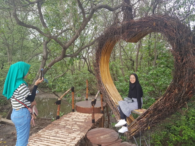 harga tiket masuk kebun binatang surabaya 2020 Spot Liburan Asyik di Kebun Raya Mangrove Gunung Anyar 