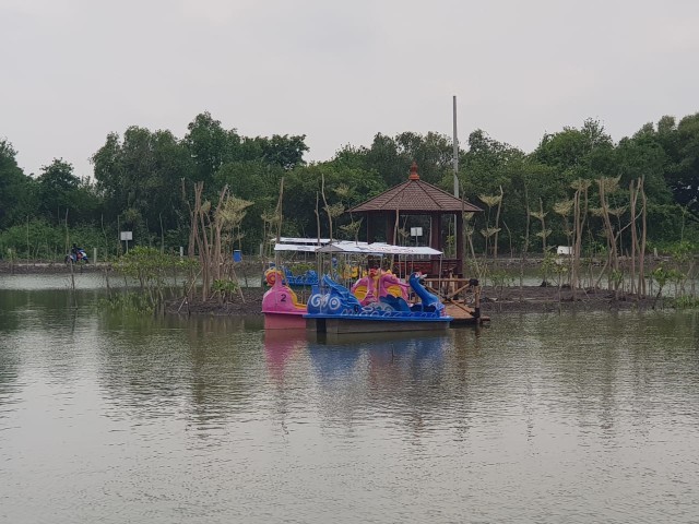 harga tiket masuk kebun binatang surabaya 2020 Spot Liburan Asyik di Kebun Raya Mangrove Gunung Anyar 