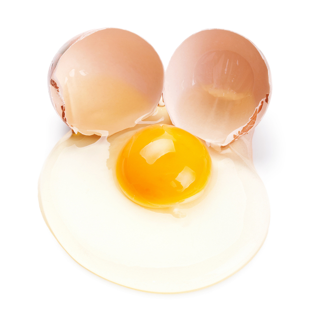 Telur mentah sebagai makanan pelancar ASI. Foto: Shutter Stock