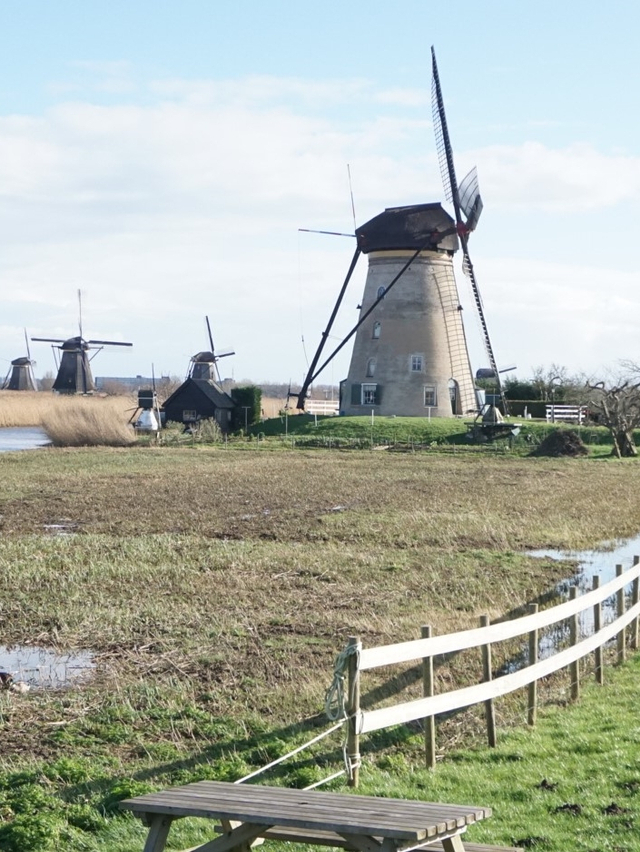 Kincir Angin di Kinderdijk, Belanda. Foto: Ananda Teresia/kumparan