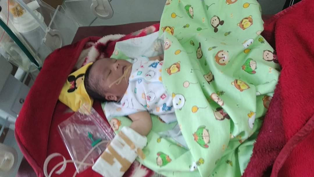 Bayi di Bintan. Foto: Istimewa
