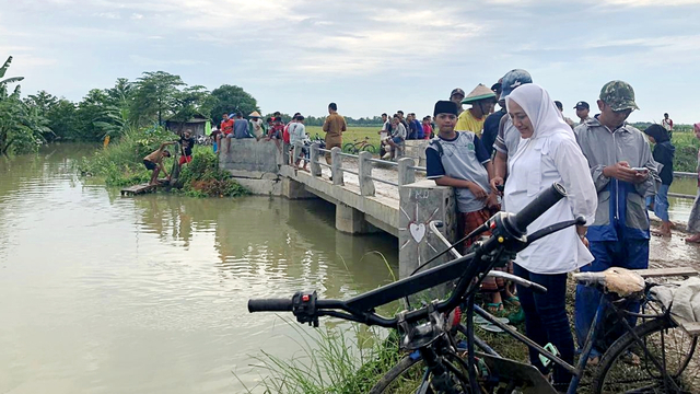 Bupati Bojonegoro Anna Tinjau Tanggul Kali Ingas Yang Jebol Kumparan Com