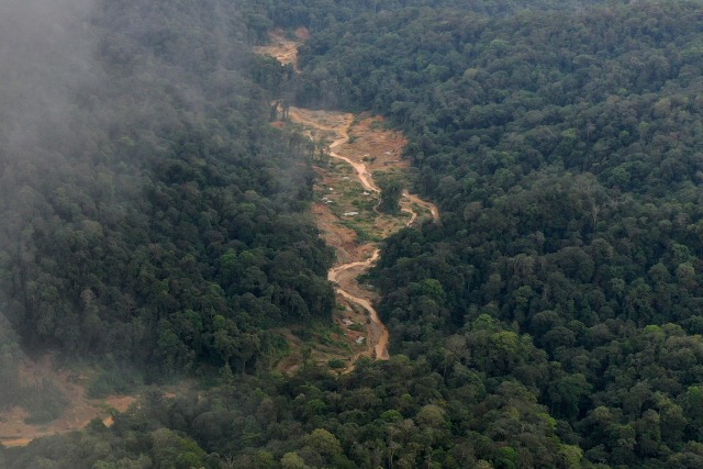 Foto udara area bekas tambang emas ilegal di kawasan hutan lindung Ulu Masen antara Kabupaten Pidie dan Kabupaten Aceh Barat, Aceh, Selasa (18/2/2020).  Foto: ANTARA FOTO/Syifa Yulinnas