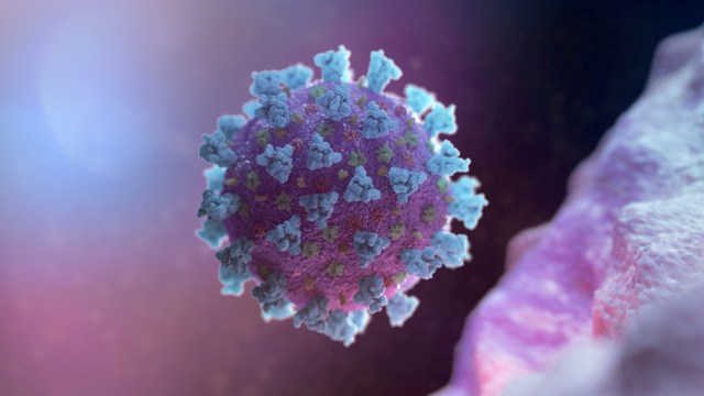 Ilustrasi virus corona. Foto: NEXU Science Communication/via REUTERS